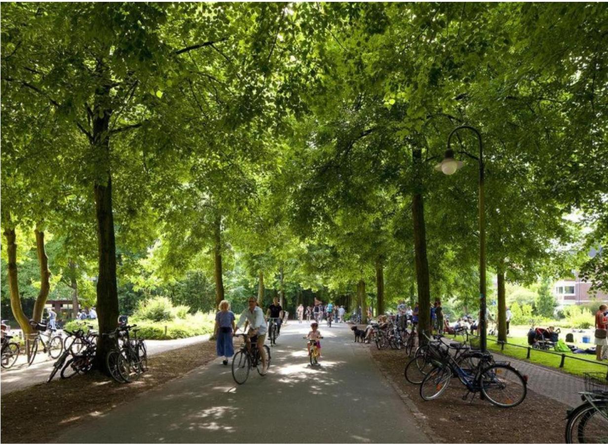 Gemuetliches Und Modernes Apartement In Gruenen Top-Lage Muenster Luaran gambar